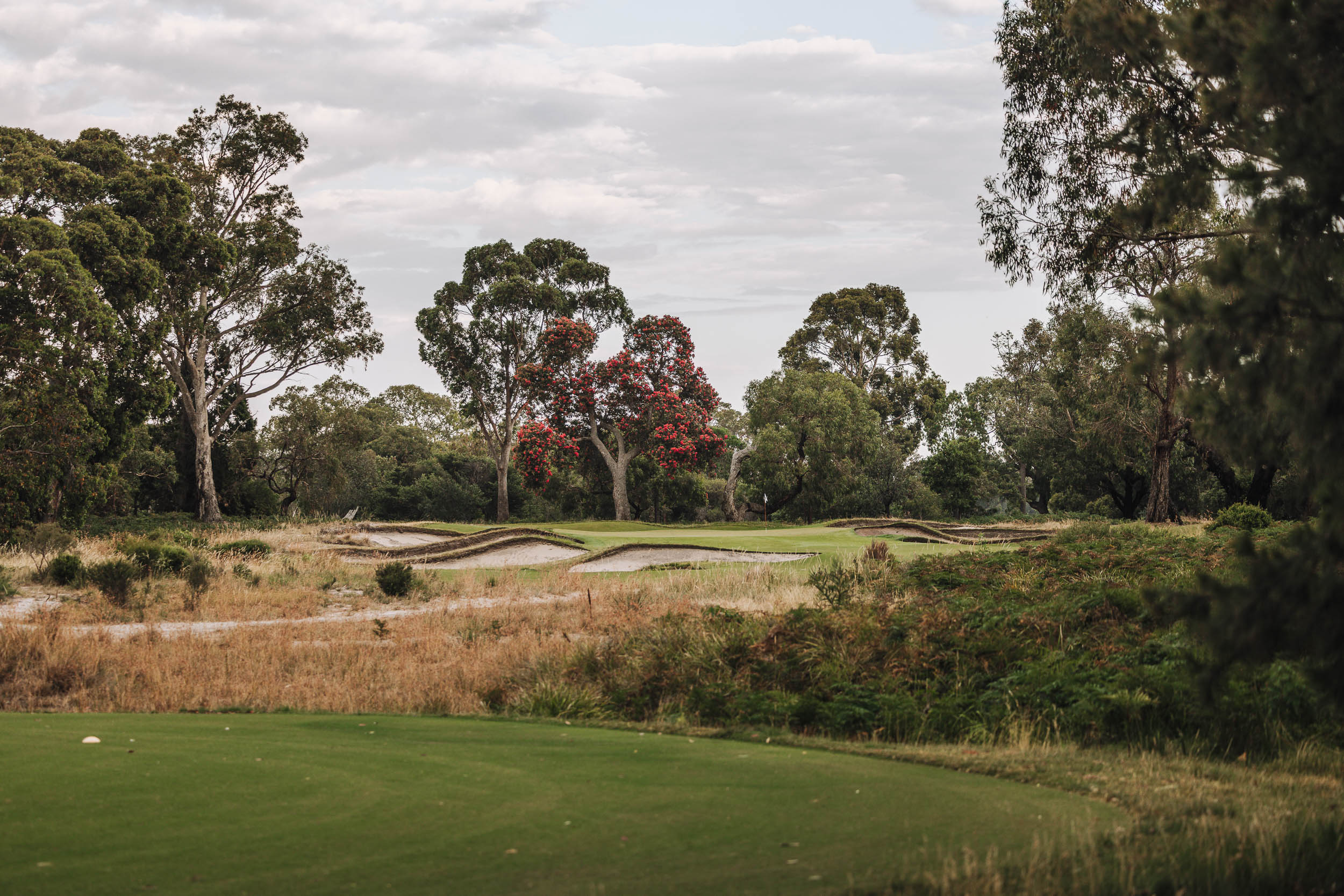 Sandbelt bunkering and native trees at Woodlands Golf Club